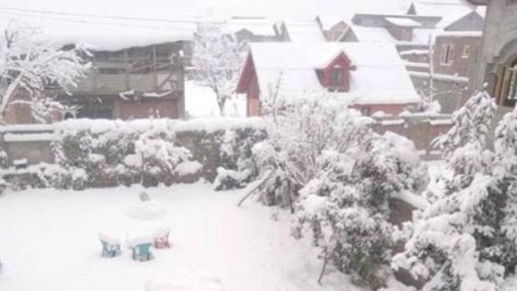 बर्फबारी