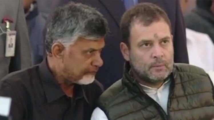 दिल्ली में अनशन पर चंद्रबाबू नायडू, समर्थन देने पहुंचे राहुल गांधी