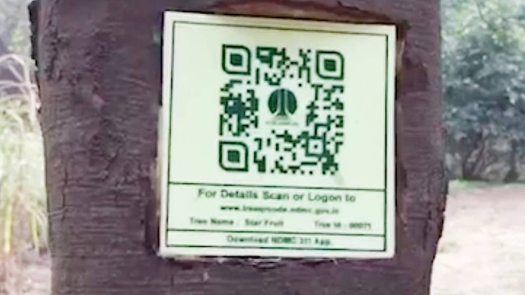 दिल्ली के पेड़ों पर लगे स्कैनर