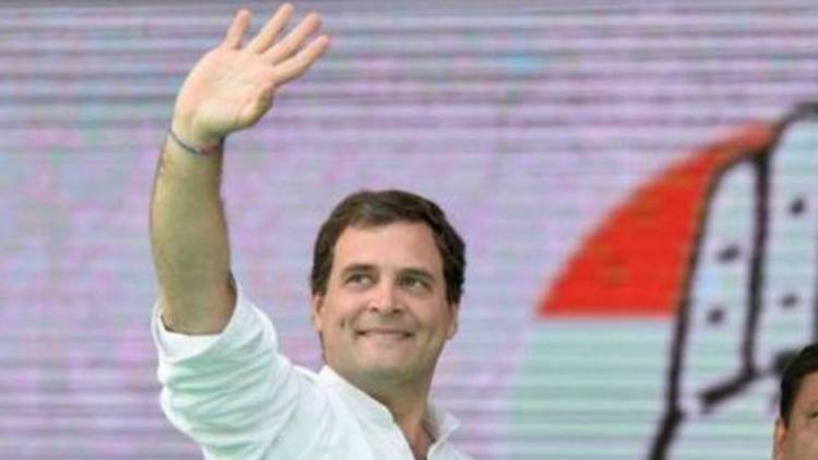 राहुल गांधी (फोटो-Twitter/@INCIndia)