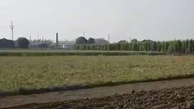 पश्चमी उत्तर प्रदेश में गन्ना भुगतान की स्थिति बेहतर