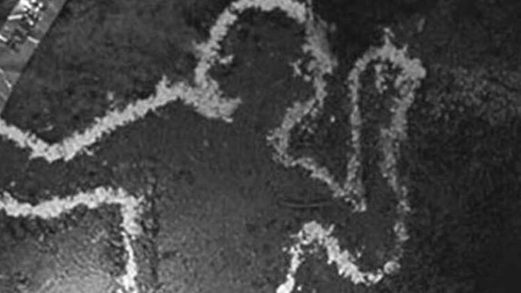 प्रतिकात्मक फोटो