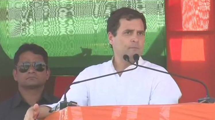 कांग्रेस अध्यक्ष राहुल गांधी (फोटो- twitter/@ANI)