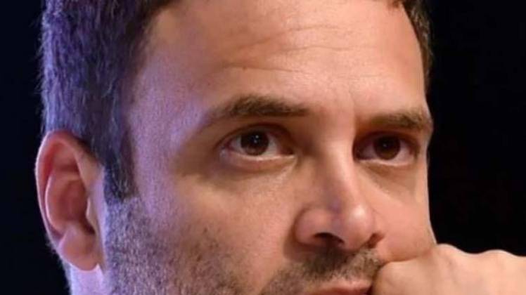 स्पेशल रिपोर्ट