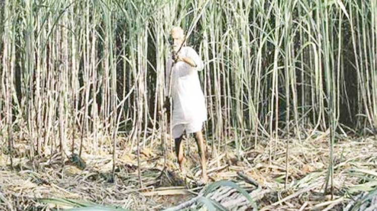 वोटर गंगा किनारे वाला