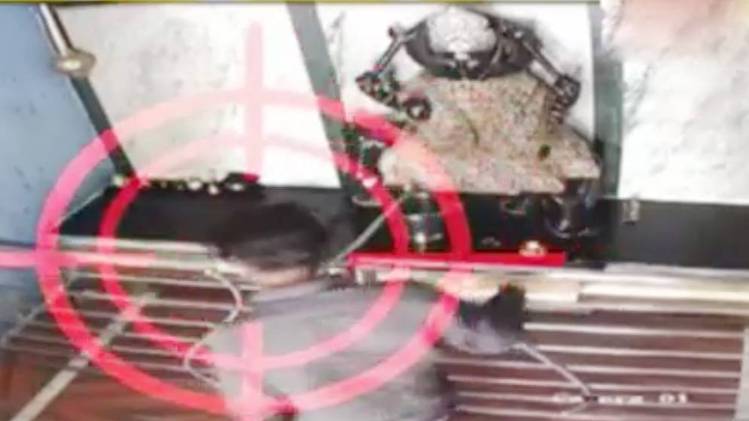 सुबह सुबह