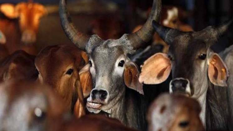 प्रतीकात्मक तस्वीर