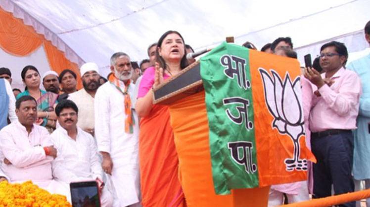 मेनका गांधी (Photo: Twitter/Chowkidar Maneka Gandhi)