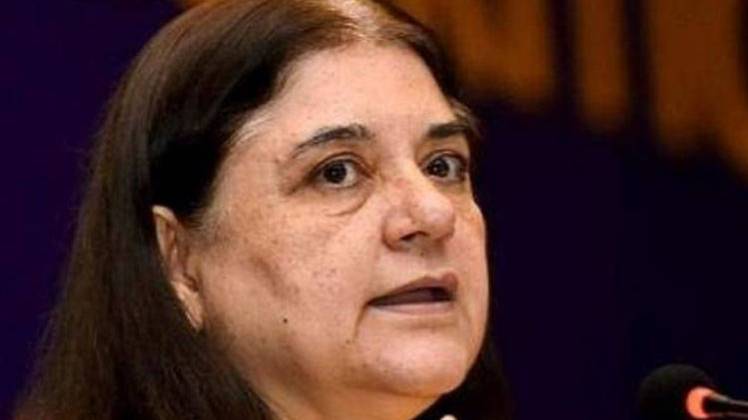 मेनका गांधी- फाइल फोटो/PTI