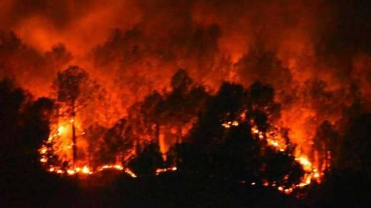 फाइल फोटो