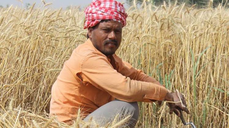 प्रतीकात्मक तस्वीर