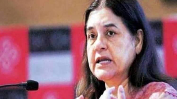 मेनका गांधी