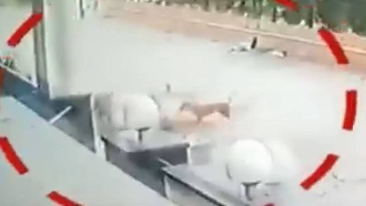 आवारा कुत्तों का बच्चे पर हमला