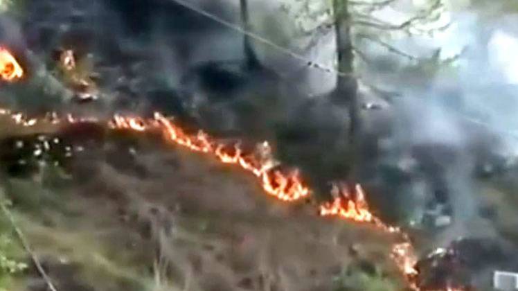 टिहरी के जंगलों में आग ने मचाई तबाही, देखें Video