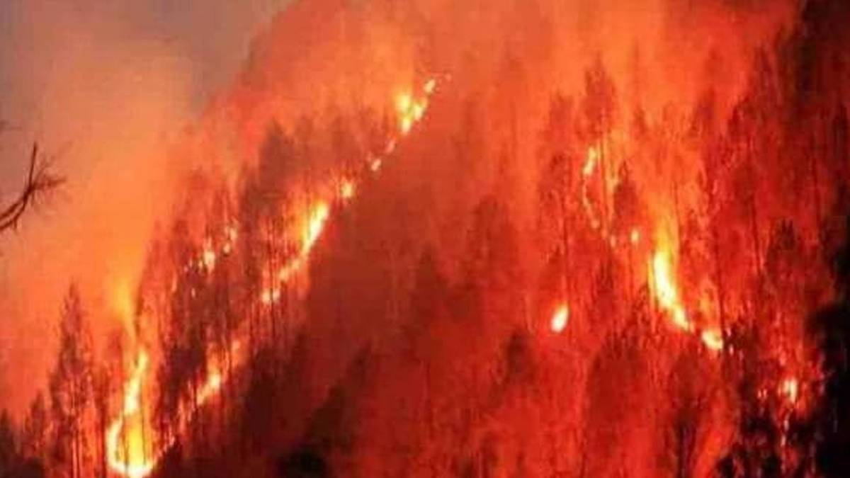 जंगलों में आग (प्रतीकात्मक तस्वीर)