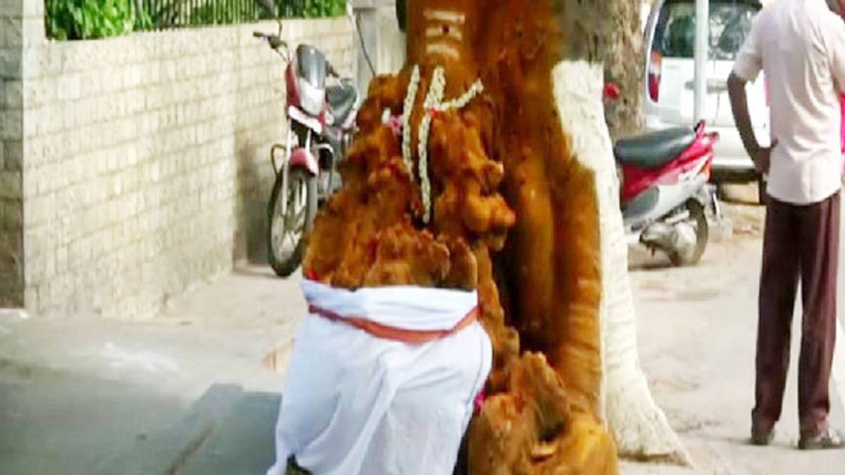 पेड़ से निकले भगवान गणेश