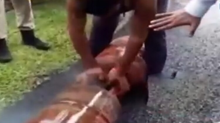 LPG सिलेंडर