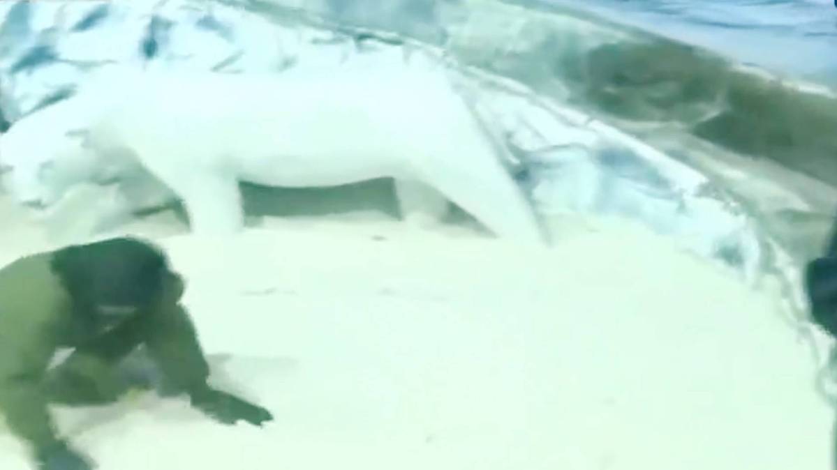 कश्मीर ऑफ भोपाल