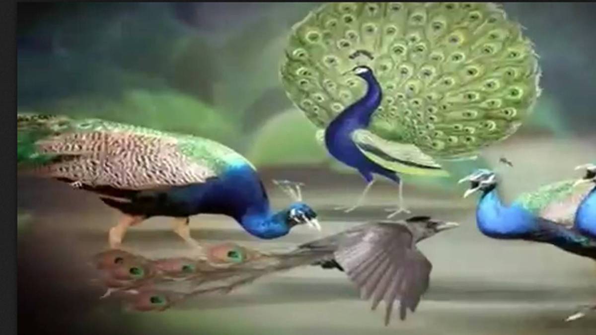 मैं भाग्य हूं: रंग-रूप से नहीं कर्मों की संतुष्टि से मिलती है सफलता