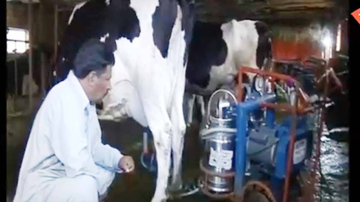 पुलवामा