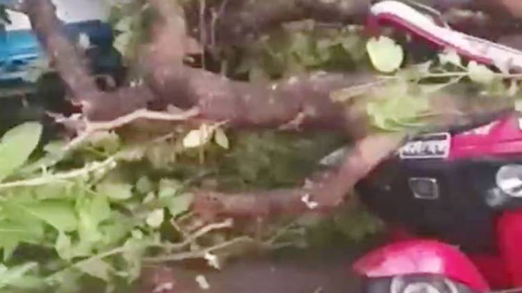 तूफान ने मचाई तबाही