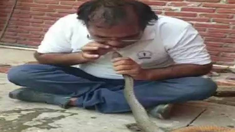 सांप को पानी पिलाता अधिकारी