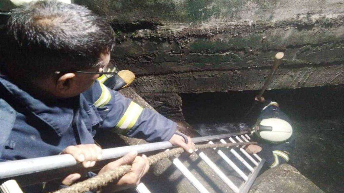 Divyansh rescue operations