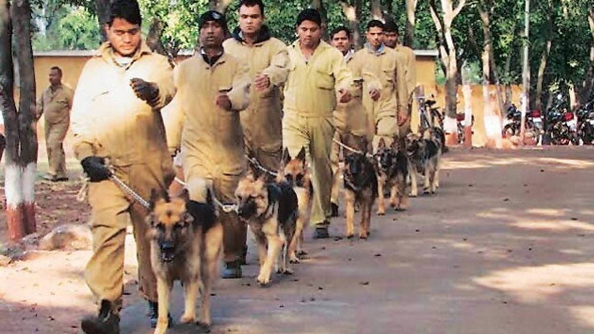 फाइल फोटो