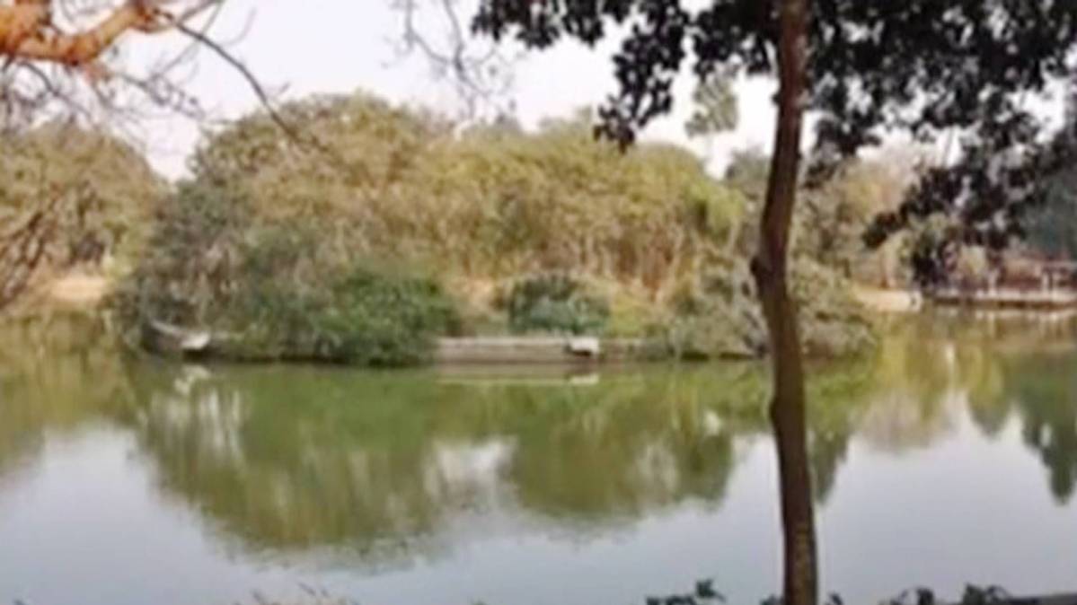 प्रतीकात्मक तस्वीर