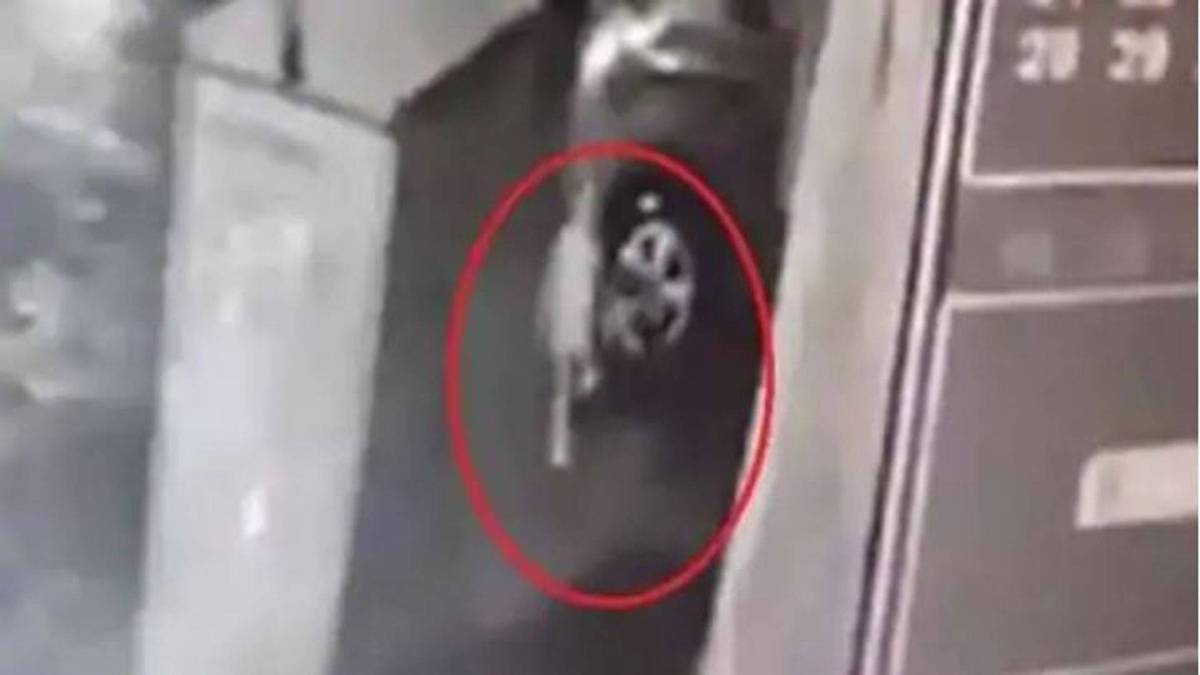 नाले में गिरे मासूम का बचाव अभियान बंद