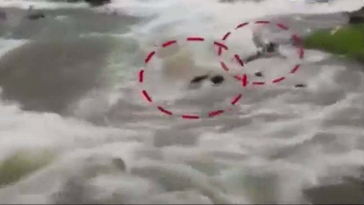 देखने गए थे सैलाब, पानी में बह गए
