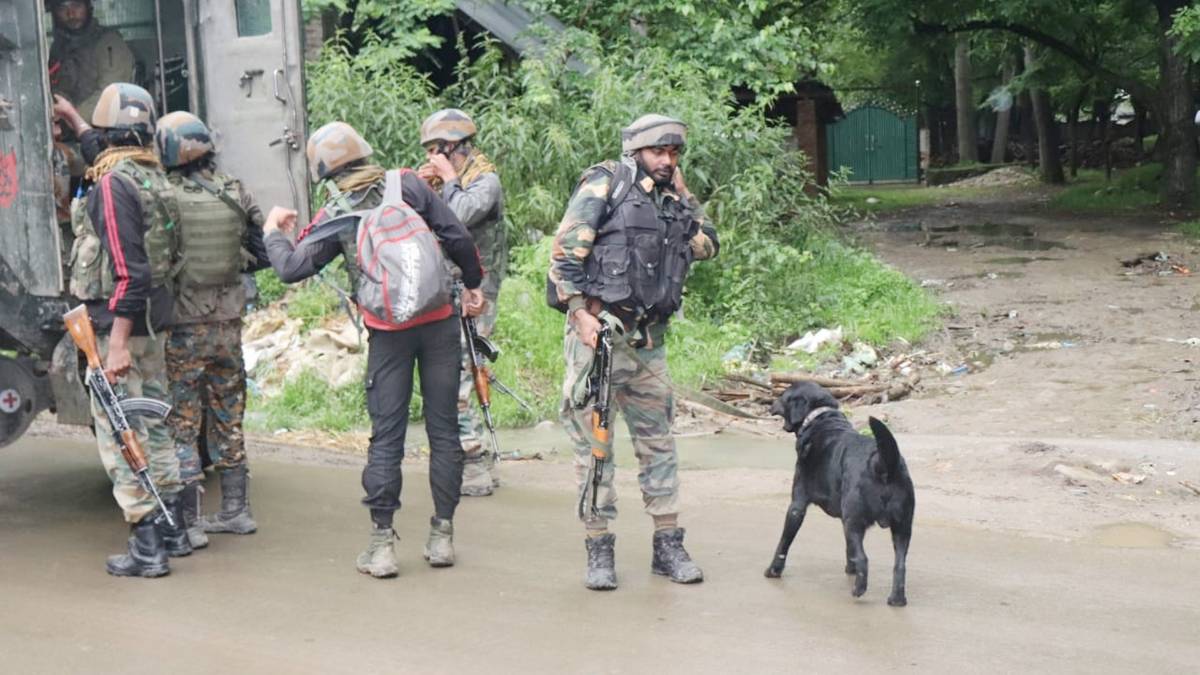 Photo courtesy: Mohd Iqbal