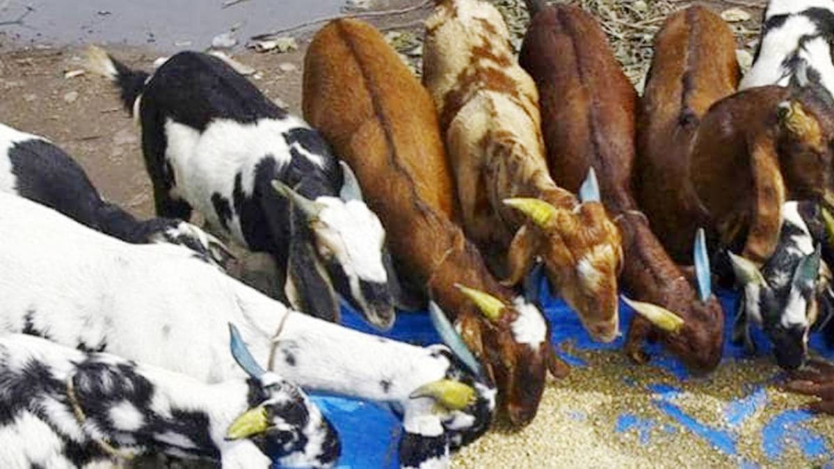 प्रतीकात्मक तस्वीर (फोटो-रायटर्स)