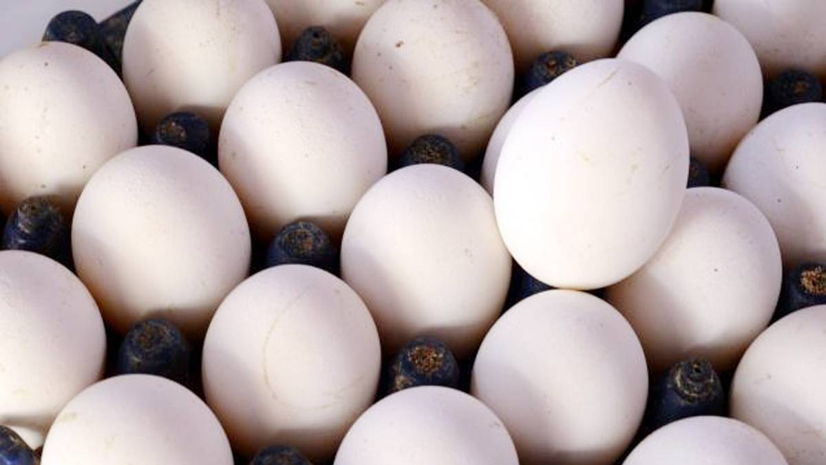 प्रतीकात्मक तस्वीर