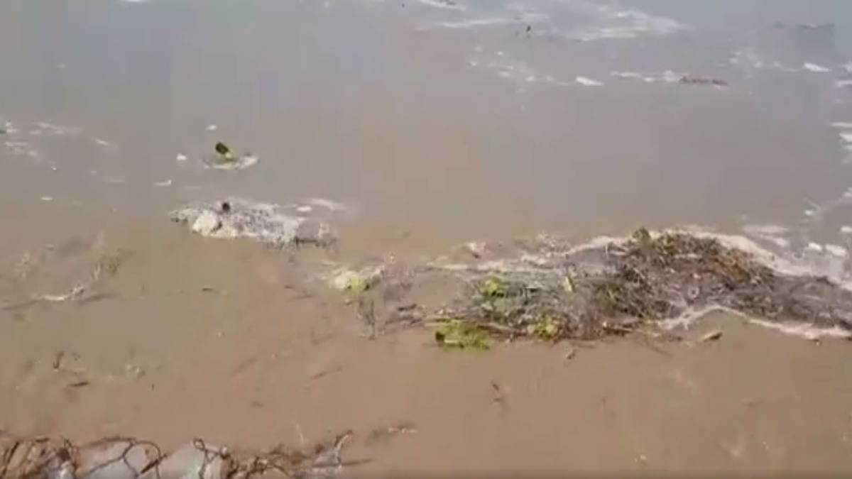 यमुना में बाढ़