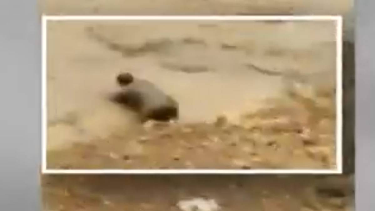 बाढ़ में बह गया युवक