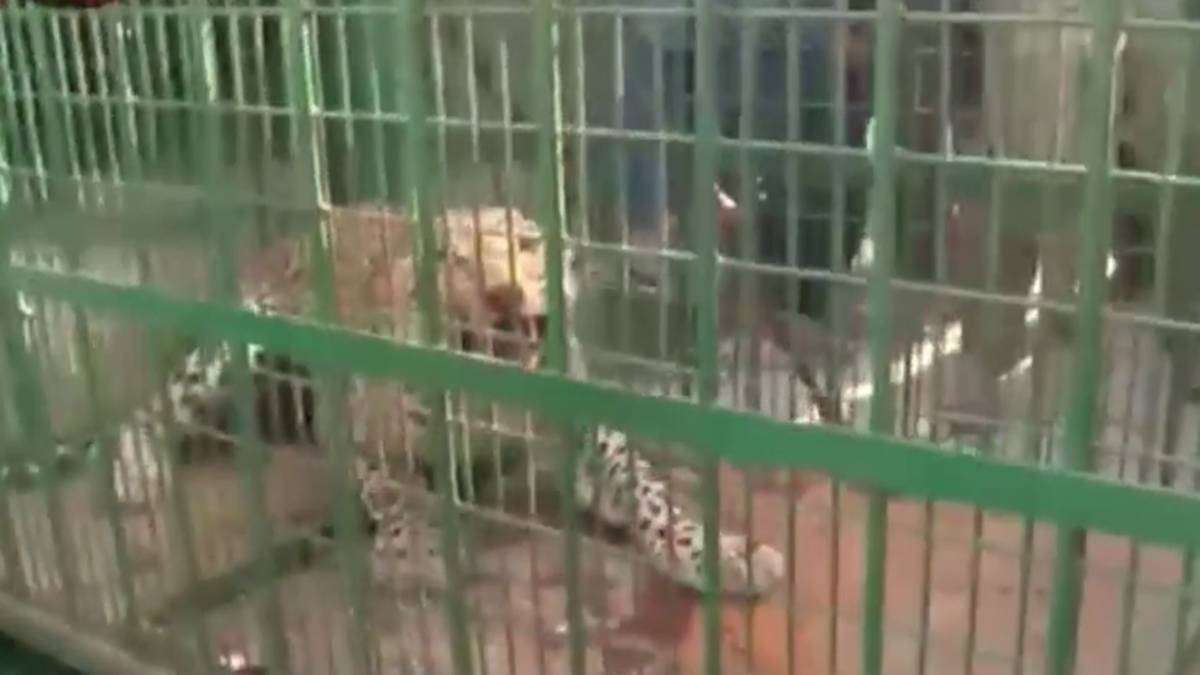 सुबह सुबह