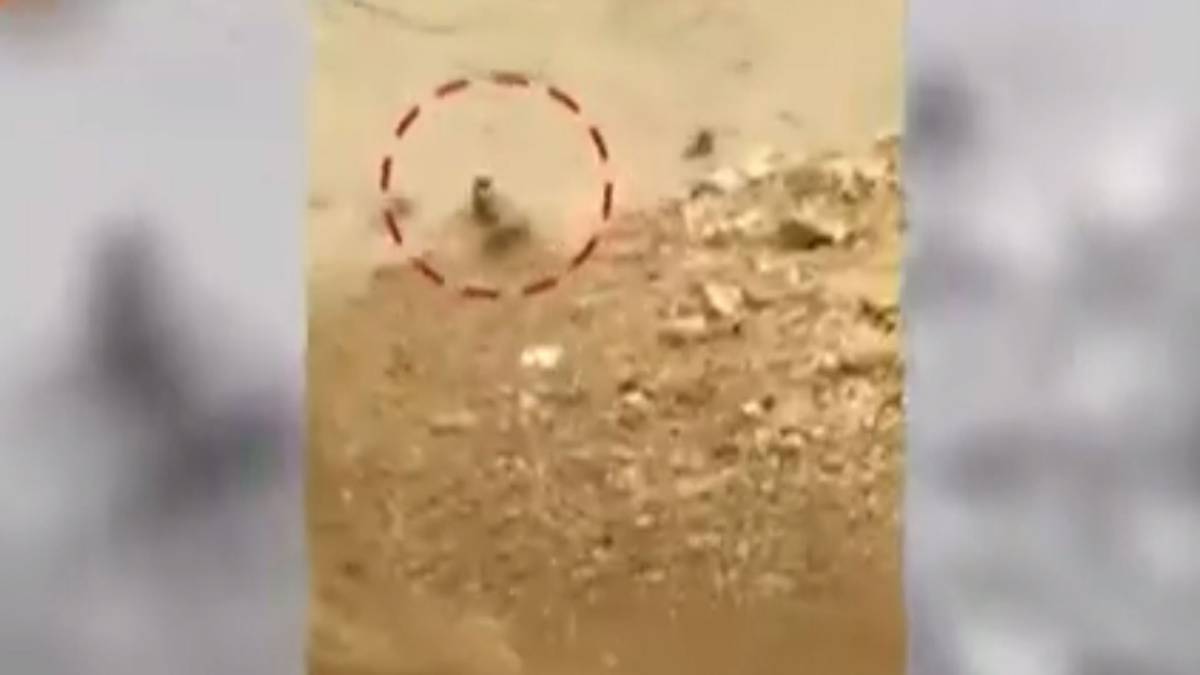 लंच ब्रेक