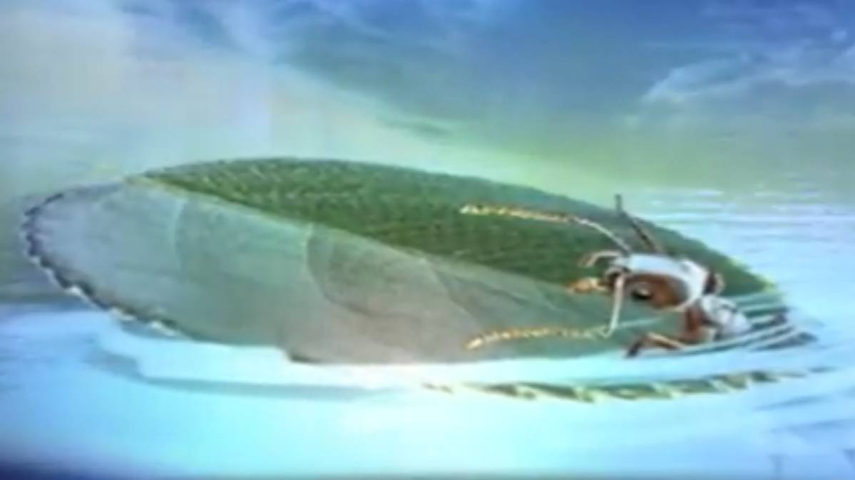 मैं भाग्य हूं