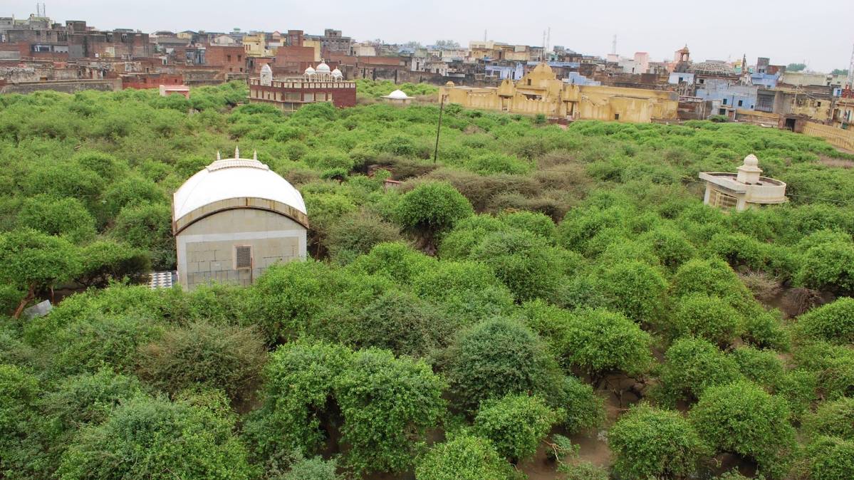 निधिवन, वृंदावन