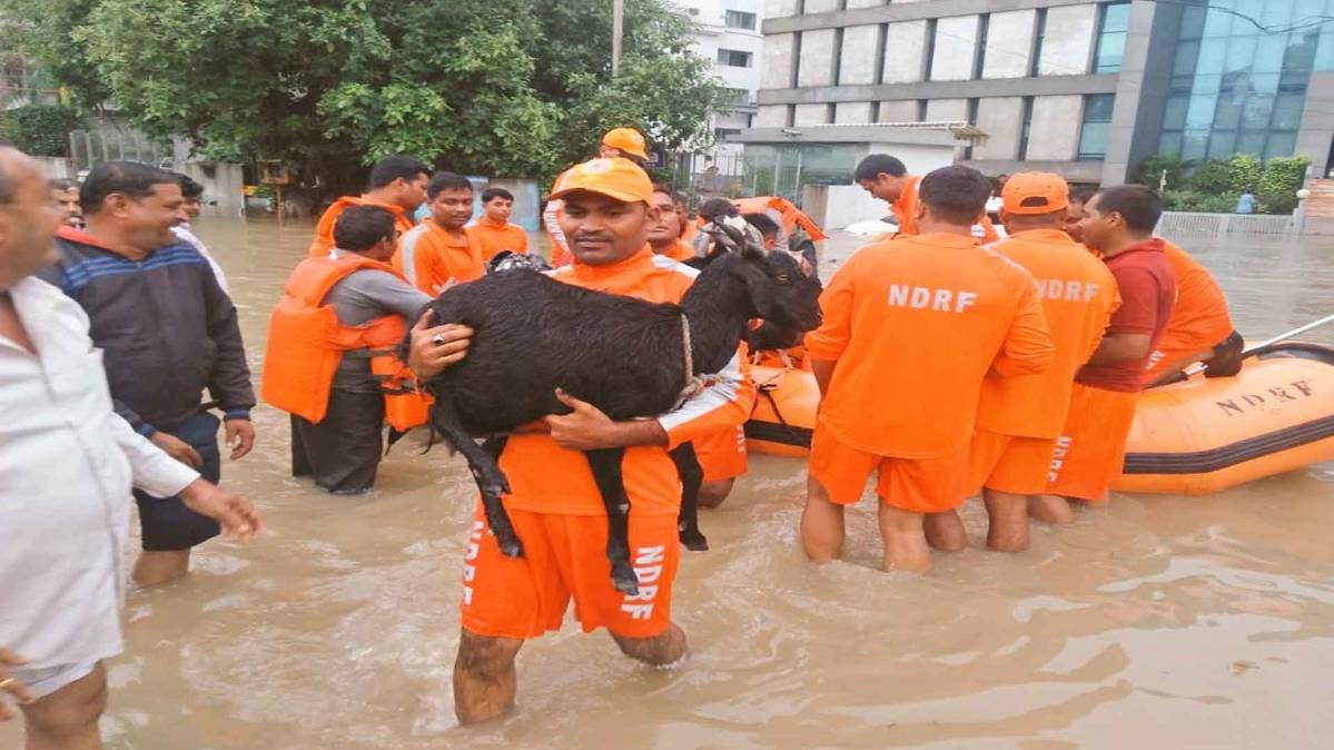 NDRF (फाइल फोटो-IANS)