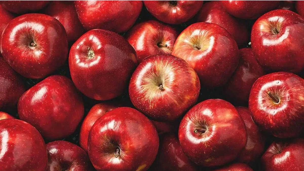 प्रतीकात्मक तस्वीर