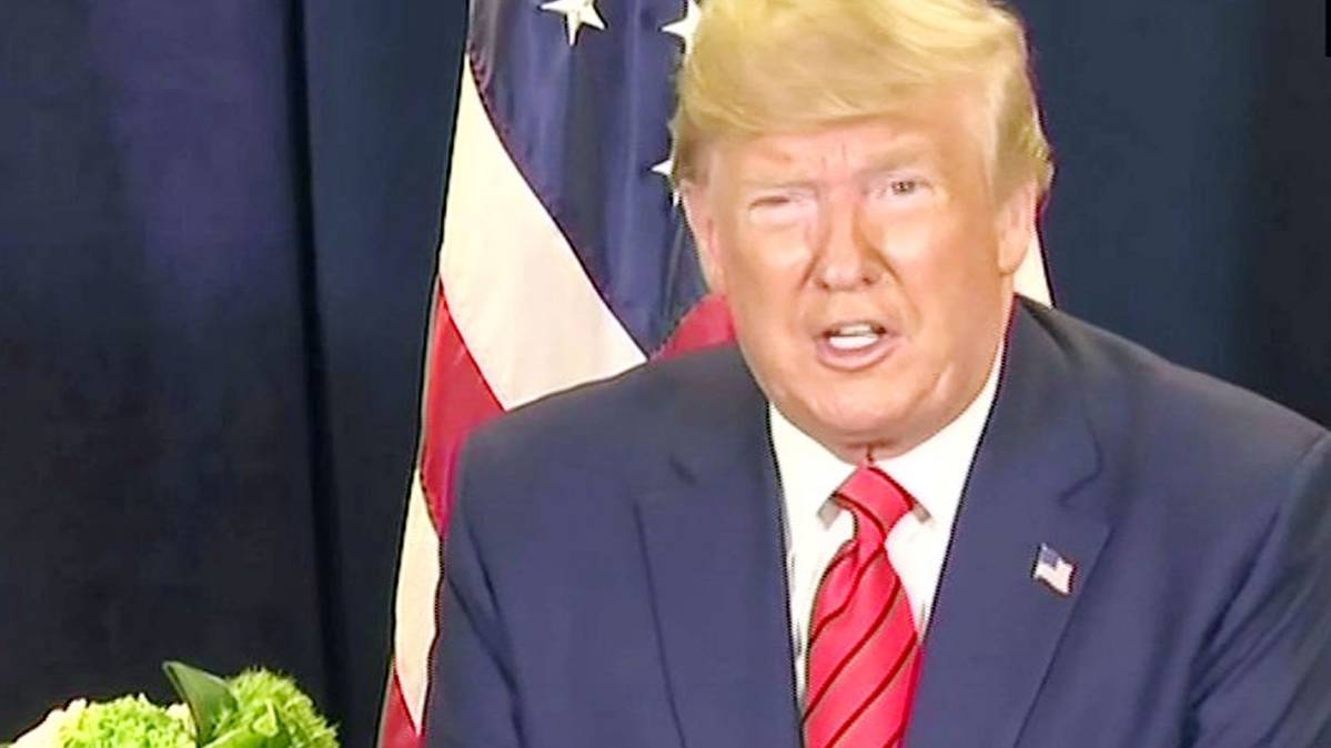 अमेरिकी राष्ट्रपति डोनाल्ड ट्रंप (ANI)