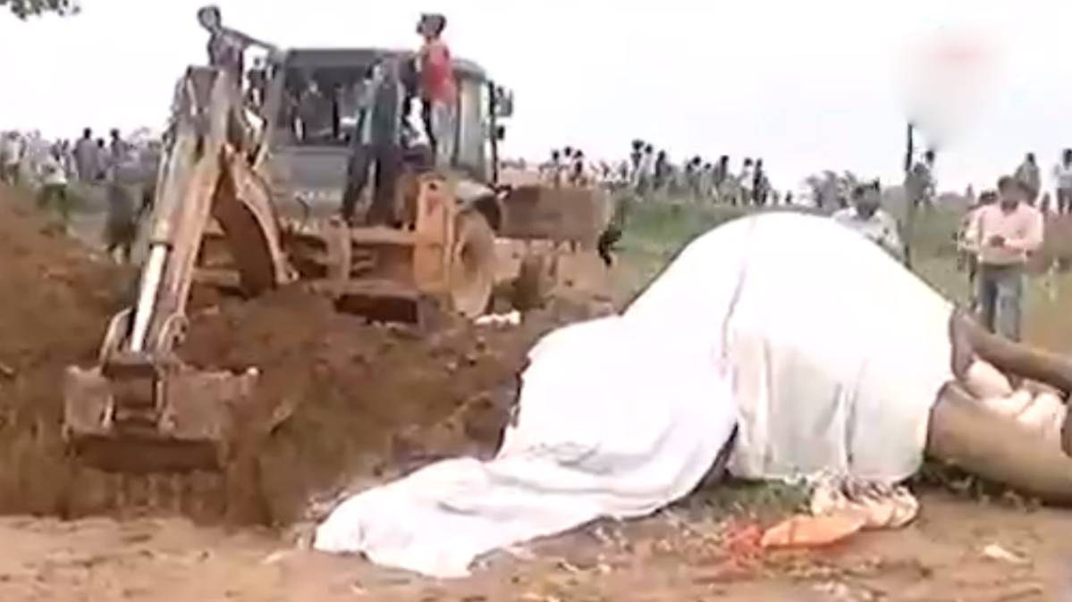 हाथी की मौत