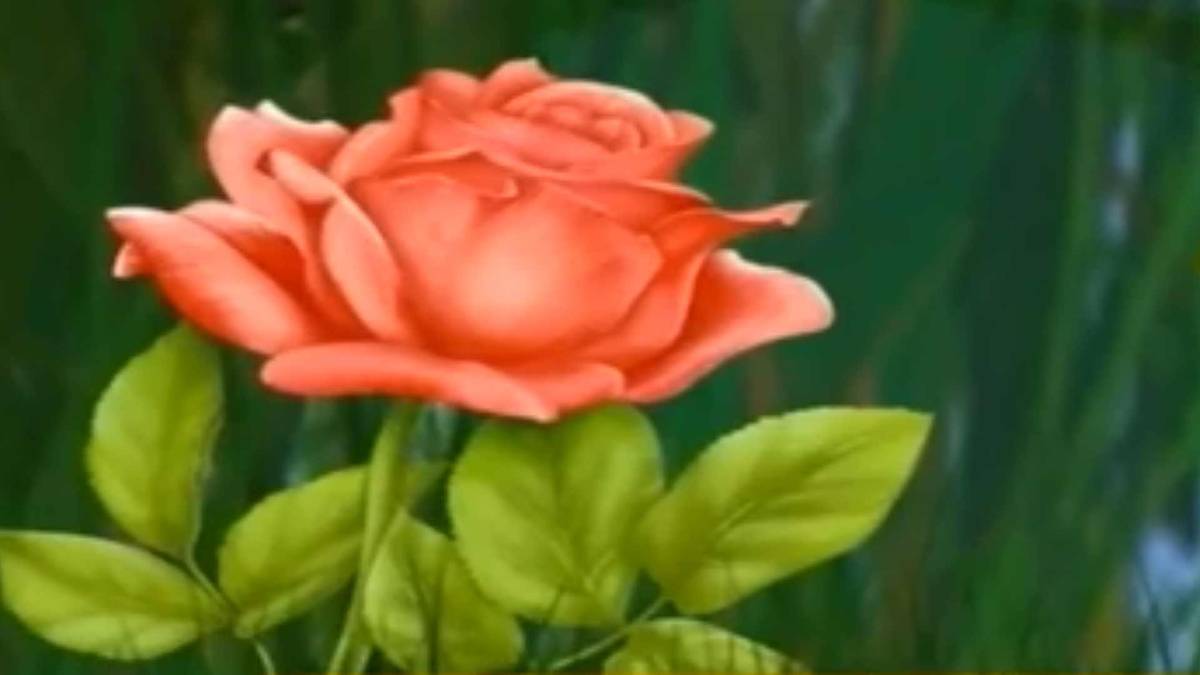 मैं भाग्य हूं