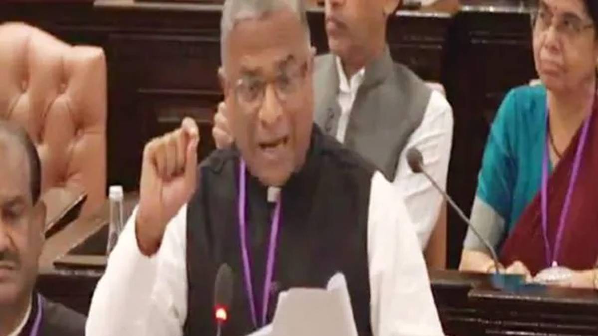 राज्यसभा के उपसभापति हरिवंश (वीडियो ग्रैब)
