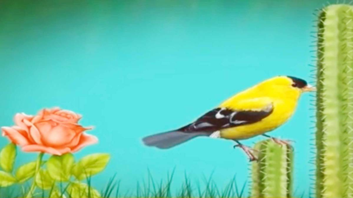 मैं भाग्य हूं