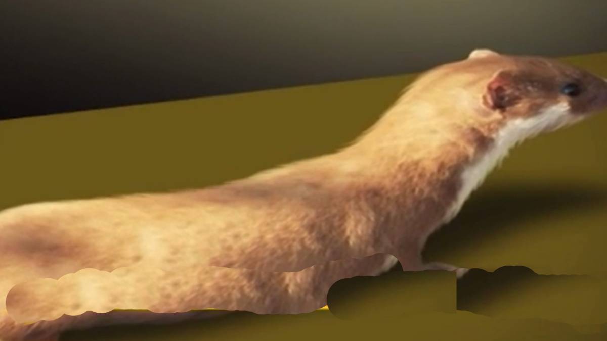 मैं भाग्य हूं