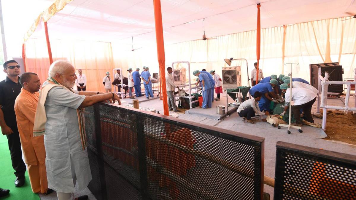 पीएम नरेंद्र मोदी  (फोटो-Twitter)