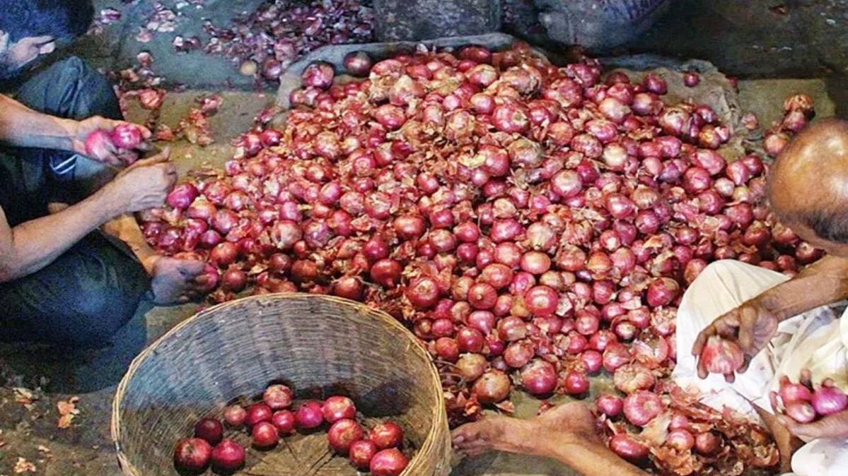 प्याज की प्रतीकात्मक तस्वीर